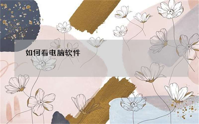 如何看电脑软件