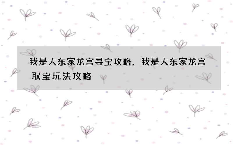 我是大东家龙宫寻宝攻略，我是大东家龙宫取宝玩法攻略