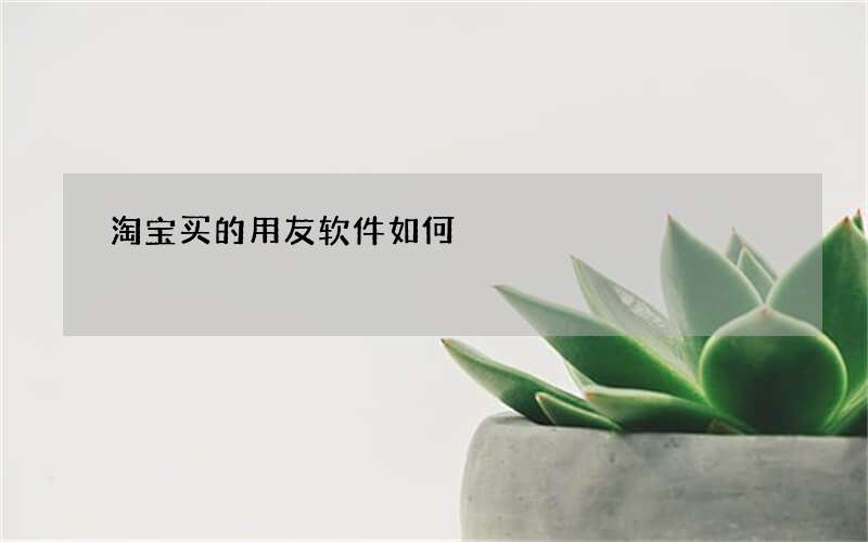 淘宝买的用友软件如何