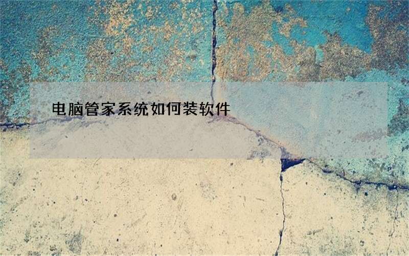 电脑管家系统如何装软件