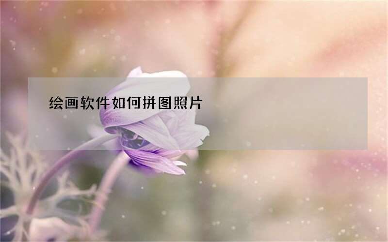 绘画软件如何拼图照片
