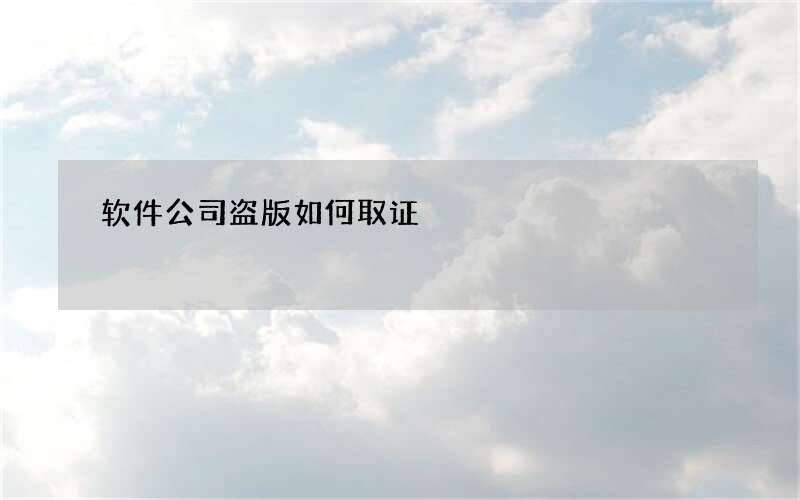 软件公司盗版如何取证