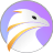 Falkon Falkon