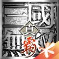 真三国无双霸 真三国无双霸