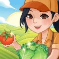 有机菜市场 有机菜市场