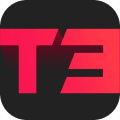 T3