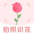 拍照识花 拍照识花