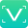 潍V